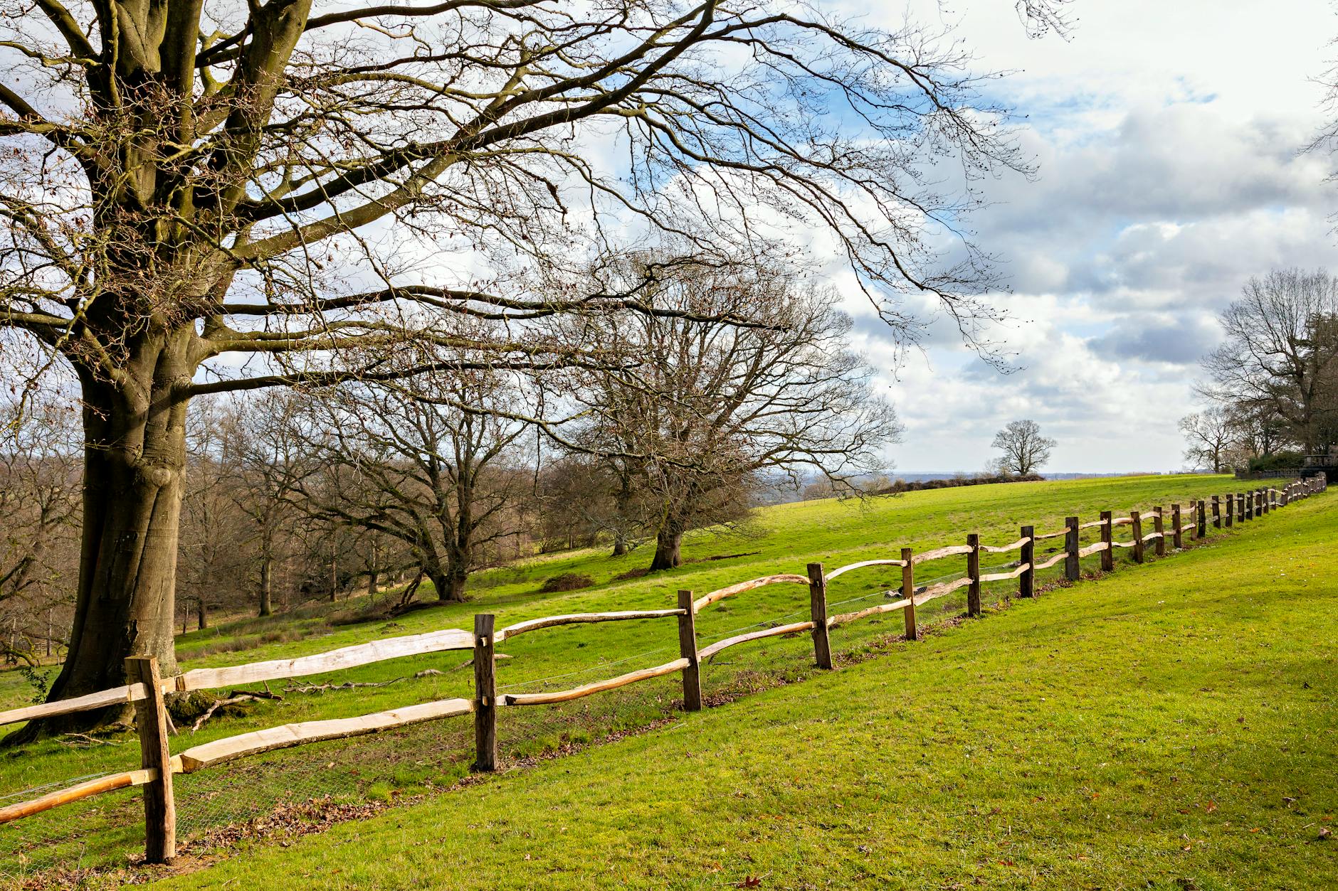tranquil rural landscape with rustic fence